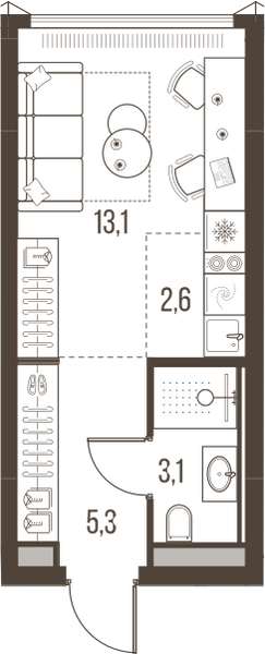 Планировка: 1-комнатная квартира, 24,1 м²