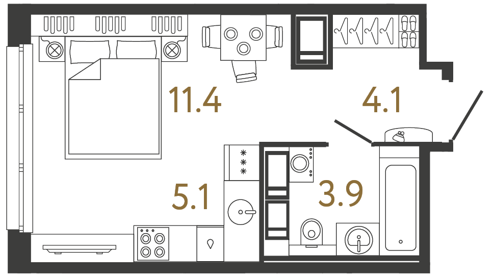 Планировка: студия, 24,5 м²