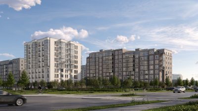 Брусника в Новоселье — фото 2