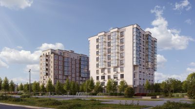 Брусника в Новоселье — фото 3