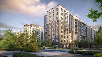 Брусника в Новоселье — фото 4